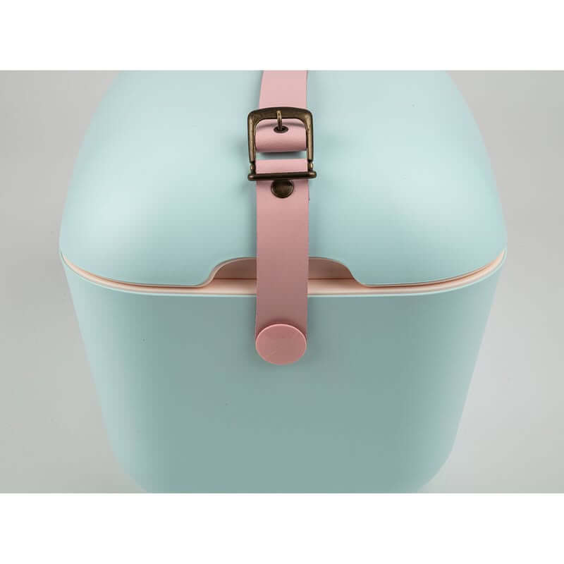 Polarbox Pop 20L Sky with Rose Strap - LIFESTYLE - Picnic - Soko and Co