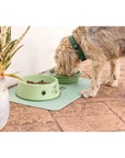 Vigar Pets Club 3 in 1 Pet Food Bowl Green - LIFESTYLE - Pets - Soko and Co