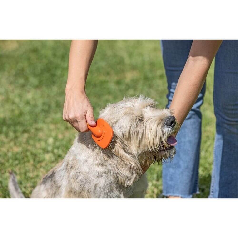 Vigar Pets Club Pet Hair Brush Orange - LIFESTYLE - Pets - Soko and Co