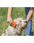 Vigar Pets Club Pet Hair Brush Orange - LIFESTYLE - Pets - Soko and Co