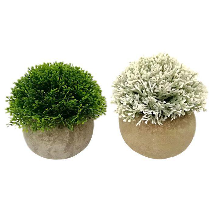 12cm Round Plant in Concrete Style Pot Light & Dark - HOME STORAGE - Accessories and Decor - Soko and Co