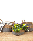 Dohar Small Round Seagrass Storage Basket - HOME STORAGE - Baskets and Totes - Soko and Co