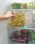 Joseph Joseph FridgeStore Suction Fridge Shelf Divider - KITCHEN - Fridge and Produce - Soko and Co