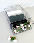 Nina 6L Stackable Divided Acrylic Drawer - KITCHEN - Fridge and Produce - Soko and Co